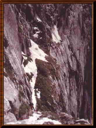 goellwest2